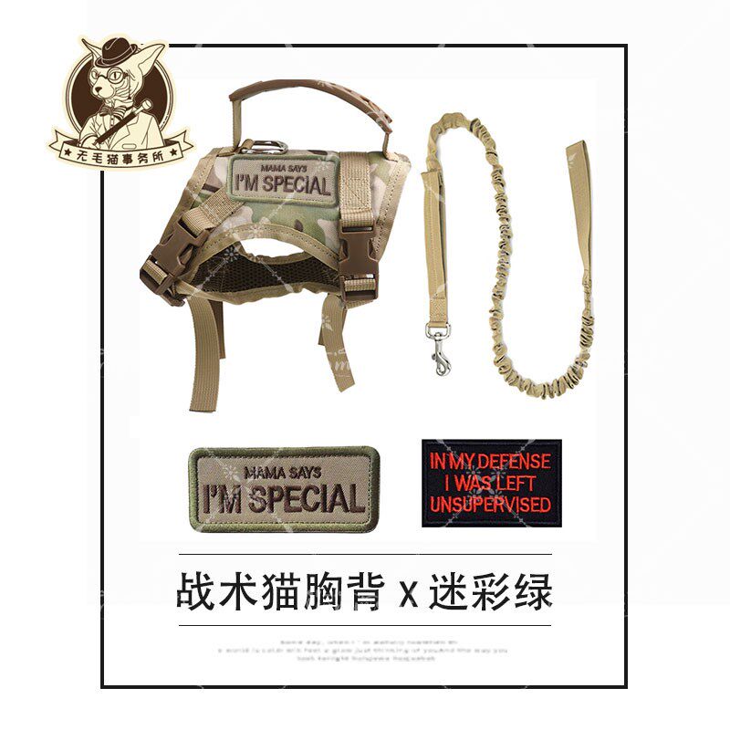 无毛猫宠物猫咪外出战术猫背带套装可调节工字型防挣脱猫咪牵引绳