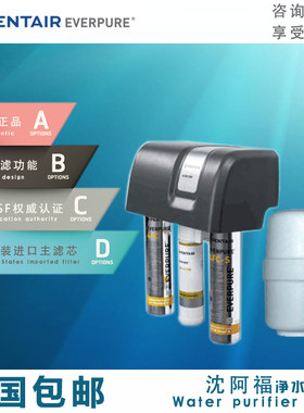 爱惠浦RO反渗透纯水机厨房商用家用制冰咖啡机双出水净水器