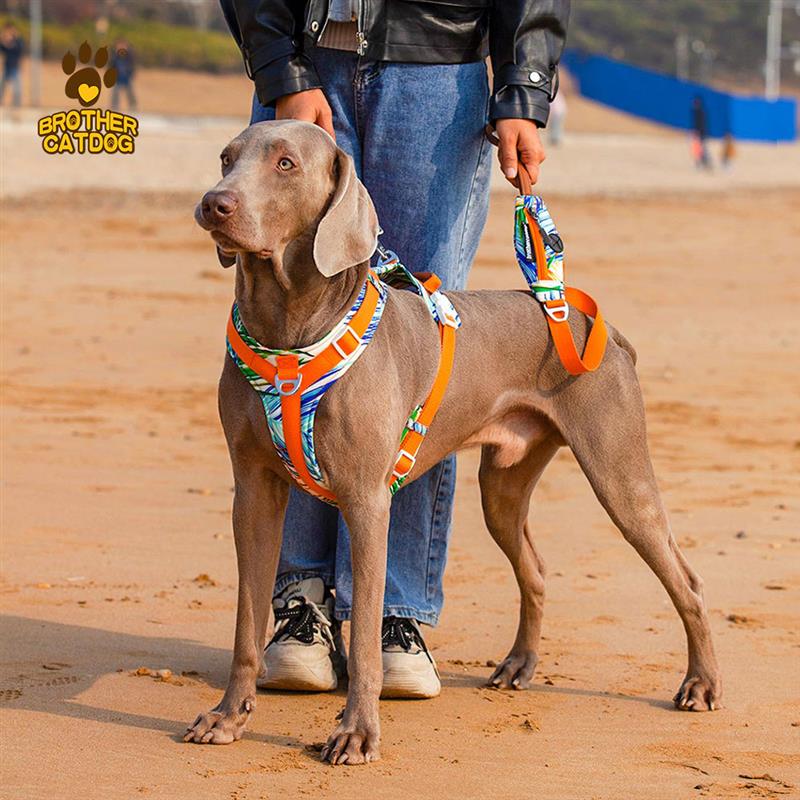 猫兄狗弟新款中大型犬背心式狗狗胸背带宠物遛狗绳子