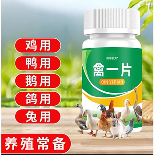 养鸡专用禽一①片家禽鸡鸭鹅呼吸道高温呼噜呆立精神不振养鸡专用