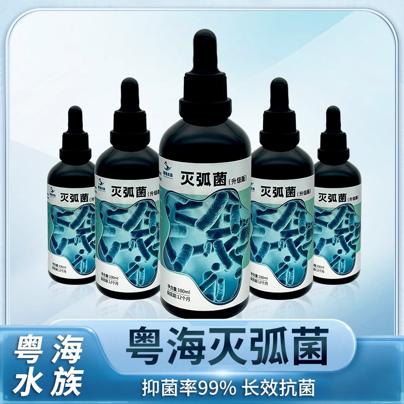 粤海灭弧菌针叶类珊瑚细菌感染布朗冻海水鱼内疾肠炎鱼瘦肚子干瘪