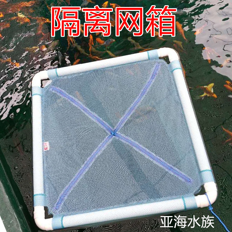 锦鲤隔离网箱漂浮网池暂养箱悬浮式内置转水网观赏鱼配对孵化网箱