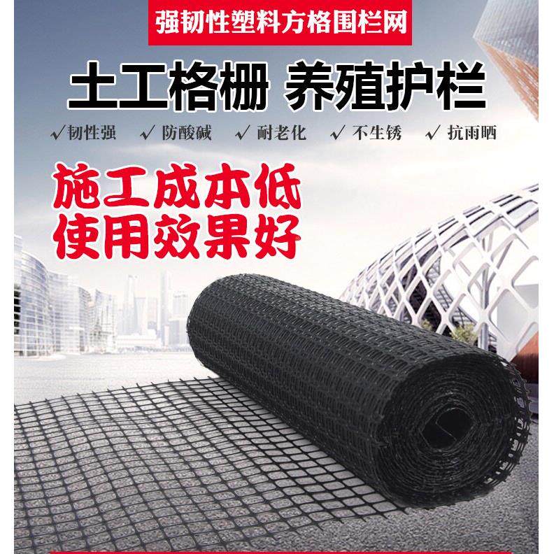 土工栅塑栏胶殖网格防护网小孔养鸡养黑色塑料鸭围栏格护网庭院养