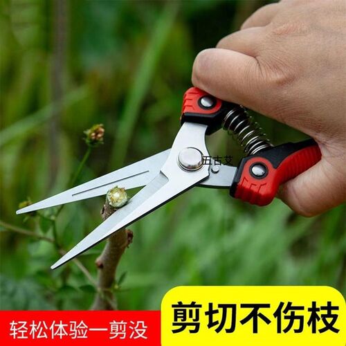 不锈钢省力修枝剪稀果剪葡萄剪采摘花椒火龙果蔬菜多功能园艺剪刀