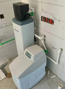 滨特尔软水机家用全屋净水系统商用除水垢中央净水机爱惠浦净水器