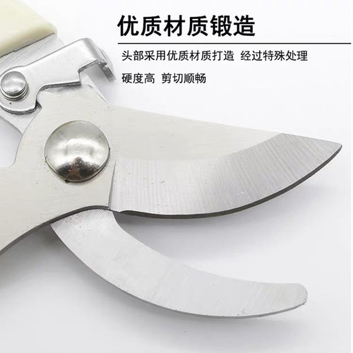 不锈钢树枝修枝剪摘果剪花木剪刀粗枝剪果树花枝剪修花园艺工具剪