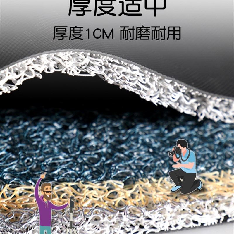 地垫进门入户门垫家用玄关大门口脚垫轻奢可裁剪耐脏塑料丝圈地毯