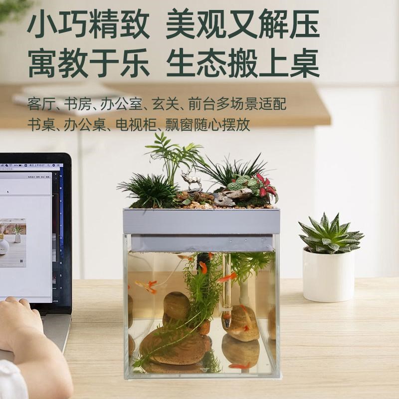 上部沼泽过滤斗鱼缸桌面生态自循环办公桌书桌水培植物造景小鱼缸