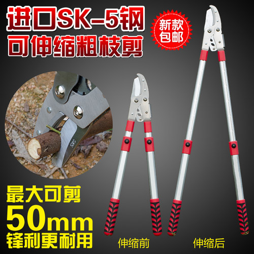 家用伸缩剪修枝剪绿化园艺剪刀高枝剪果树枝剪粗枝剪园林工具大剪