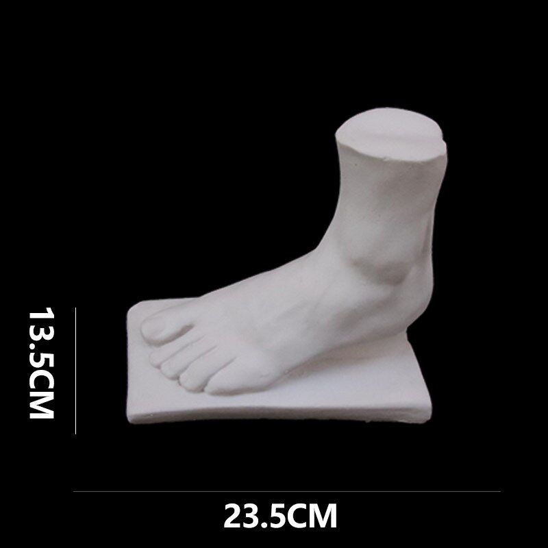 男女手足石膏像男女手脚四件套石膏教具美术素描绘画写生静物用具