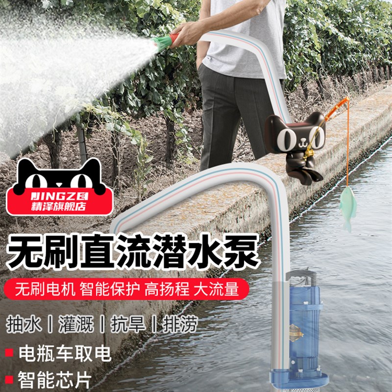 精泽无刷直流潜水泵高扬程48V60V72伏通用电动电动车抽水泵抽水机