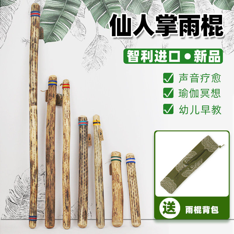 南美智利风格雨棍模拟海