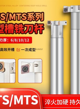 数控T型铣刀杆 加工中心开槽HTS/MTS换刀片T型槽厚6 10 12三面刃