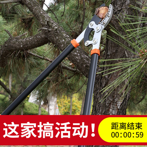 粗枝果树剪枝剪刀大力绿化修枝剪树枝园林专用强力剪子花木枝省力