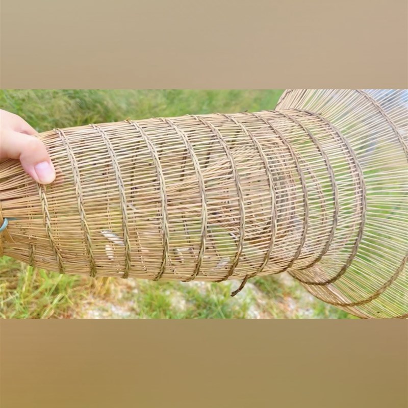 手工倒须喇叭口竹编鱼篓泥鳅黄鳝笼怀旧装饰农家送礼(大号)天然