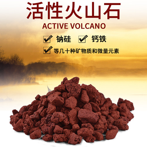 鱼缸净水过滤材料天然垫底火山石大颗粒多肉植物配土水族箱火山岩