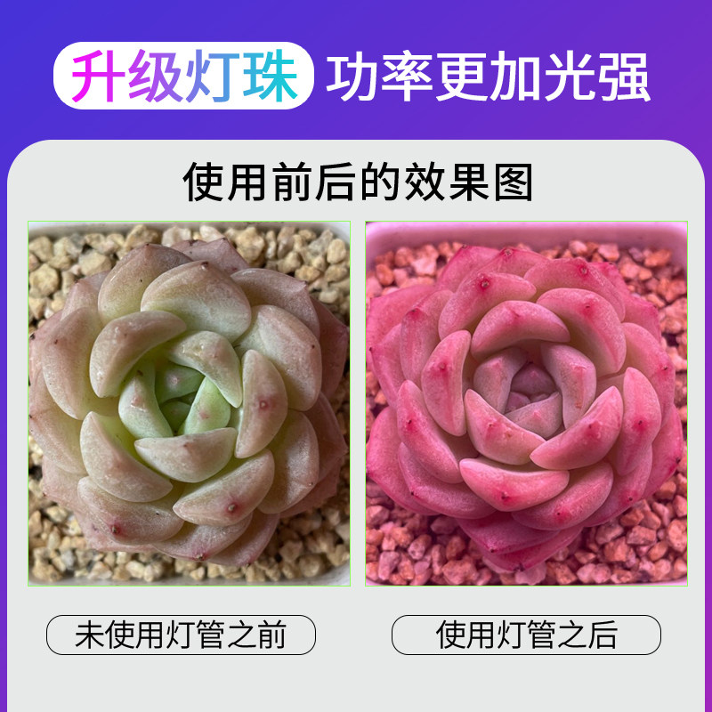 多肉补光灯智能定时仿太阳家用上色全光谱植物生长LED灯绿植热植