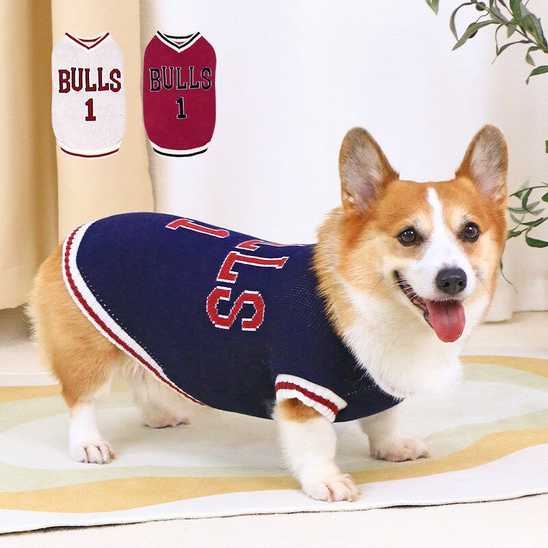 宠物狗狗秋冬衣服毛衣背心保暖泰迪柯基冬季小型犬中型犬2024新款