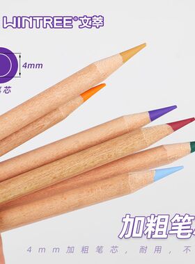 文萃24色炭笔彩炭三支笔彩铅素描笔速写笔彩色碳笔青竹24色彩炭笔
