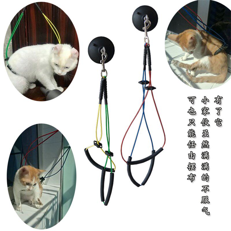 吸盘宠物美容台吊绳固定狗狗猫咪洗澡卡扣魔力保定栓吹风强吸吸盘