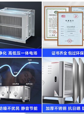低空油烟净化器商用饭店厨房排放6000风量餐饮烧烤过环保除烟除味