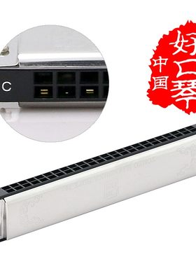 通宝复音6624P纯音口琴高级成人专业24孔降升# D E F G A B C 调