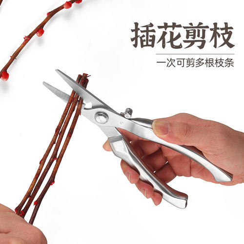 强力剪枝剪刀不锈钢园林修枝摘果园剪家用省力树枝花艺卉修花工具