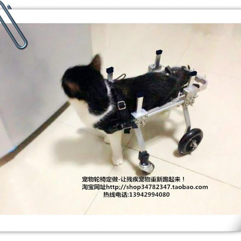 狗轮椅车残疾瘫痪宠物代步车后肢康复轮椅小型后腿助行锻炼四轮车
