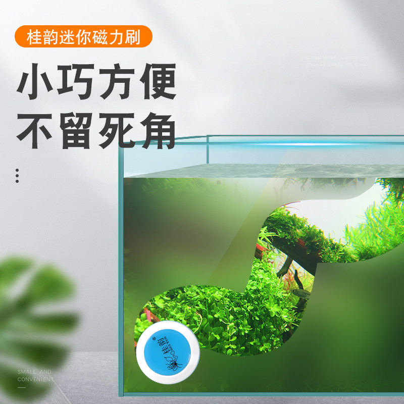 鱼缸刷强力磁力刷迷你清洁神器刮刀刮藻刀无死角不伤鱼缸清洗刷子