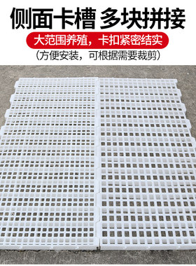 鸡用漏粪板鸡鸭鹅鸽子漏屎塑料脚垫网格板养鸡场鸡舍家禽漏粪板子