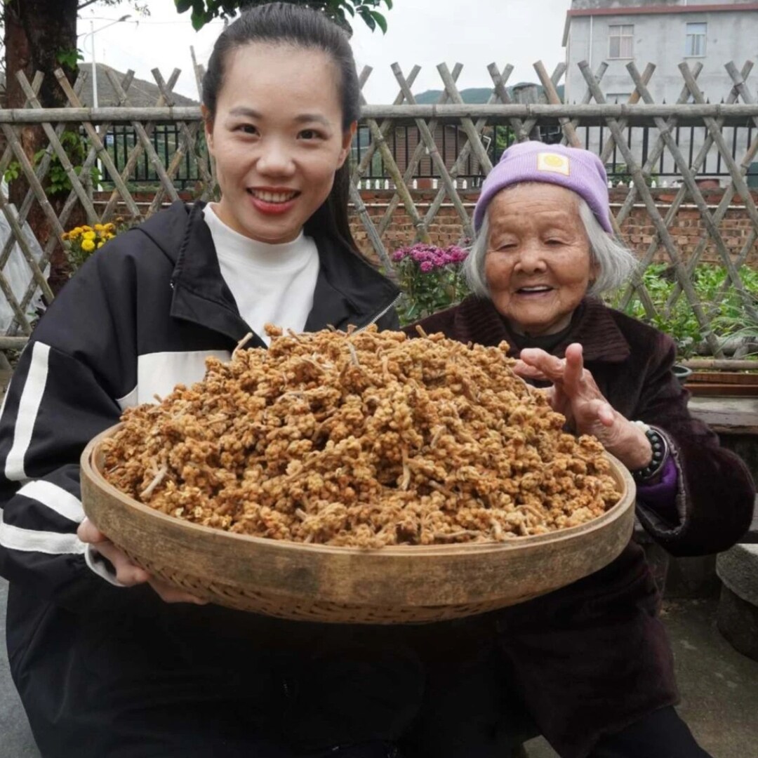 【善小舟旗舰】枇杷花茶新鲜琵琶花老白枇杷花叶干煮水搭川贝母