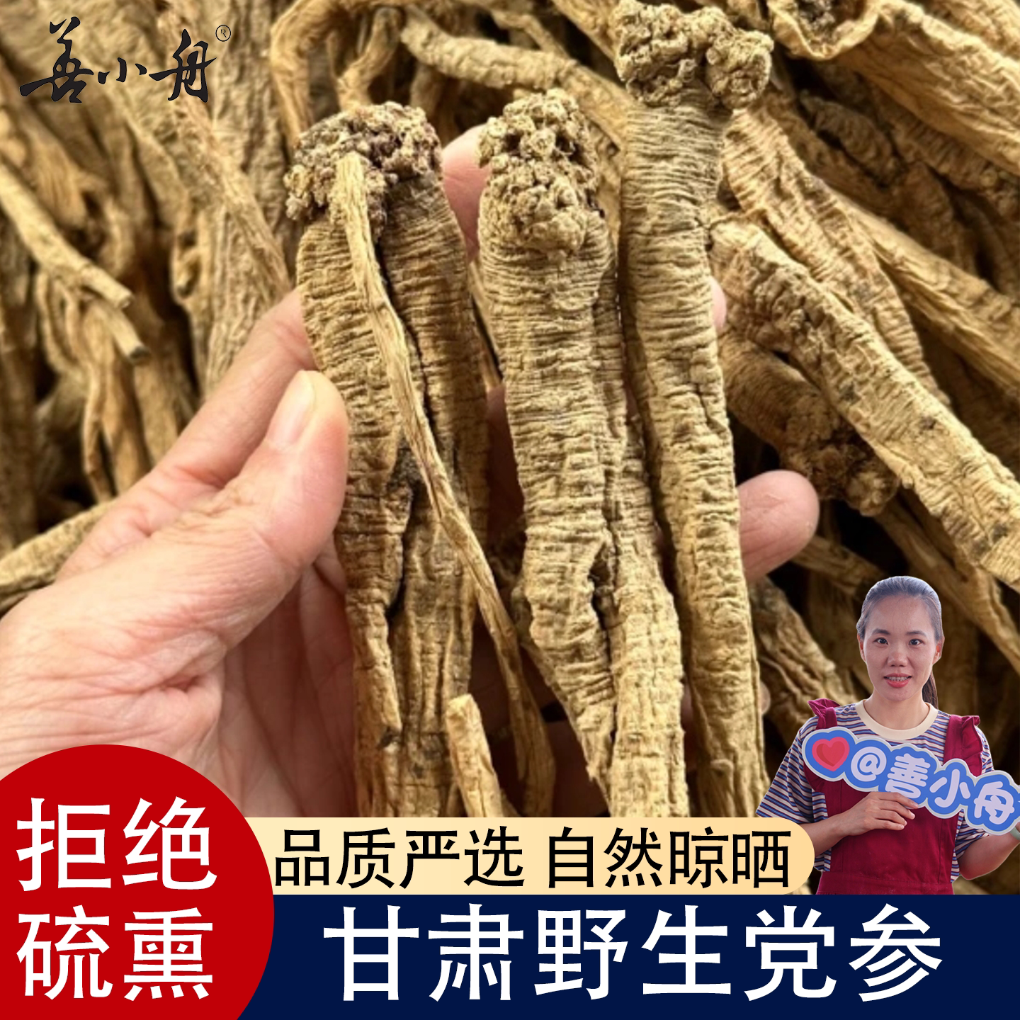 【善小舟旗舰】甘肃野生党参干货500g中药材无硫正品当参黄芪泡水