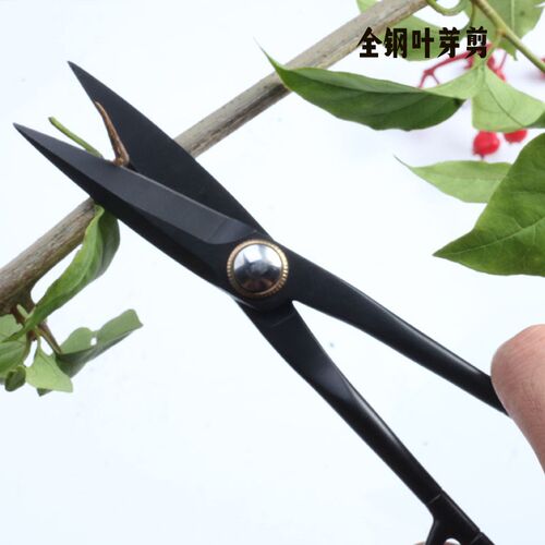 不锈钢实心叶芽剪家用修枝剪刀小枝切剪盆景园艺球节水口剪刀套装