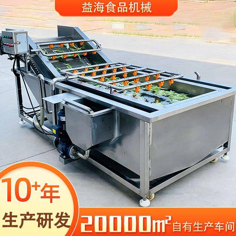 黄豆芽金针菇气泡清洗机全自动草莓清洗机喷淋式生菜清洗设备