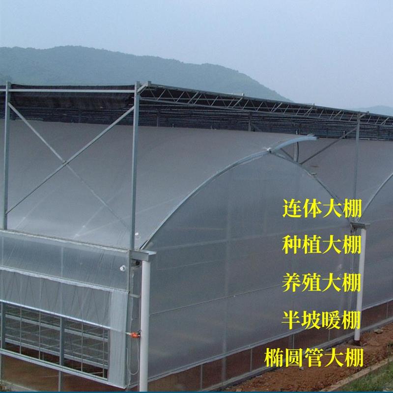 大棚骨架钢管水产椭圆拱管种植养殖蔬菜连体连栋支架暖棚温室塑料