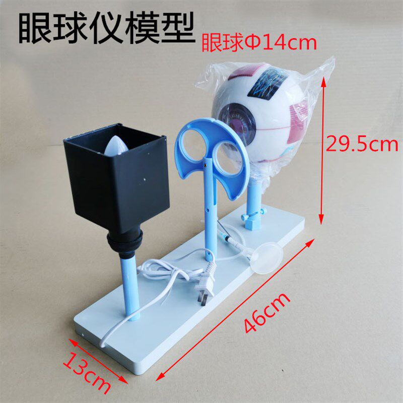眼球仪模型3303晶状体曲率可变眼球成像眼球结构教学仪器实验器材
