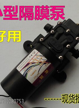 隔膜微型小泵农用电动喷雾器水泵12V自吸泵高压洗车泵轿车抽机油