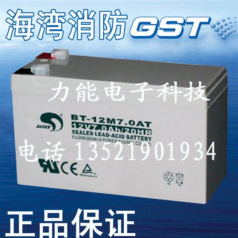 海湾GST-DY-100智能电源箱专用蓄电池 火灾报警控制器电池