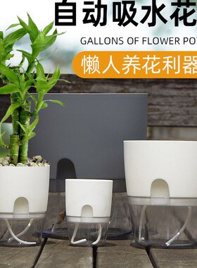 厂家直销家用透明塑料简约白色无孔水培带营养土懒人花盆自动吸水