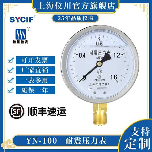 德国原装进口上海仪川仪表 耐震防震抗震压力表YN100 充油表 气压