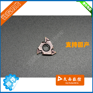DESKAR/戴斯卡 数控刀片 16 IRM AG 60 LF6018 内螺纹刀片 通用