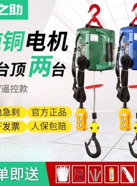 德国进口电动吊车220v小吊机家用小型升降0.5吨微型可携式提升机