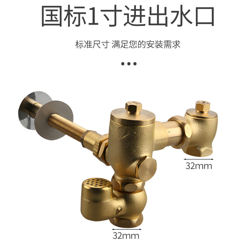 船用黄铜隐藏式暗装加长手按蹲便器冲洗阀带隔污器监狱厕所冲水器