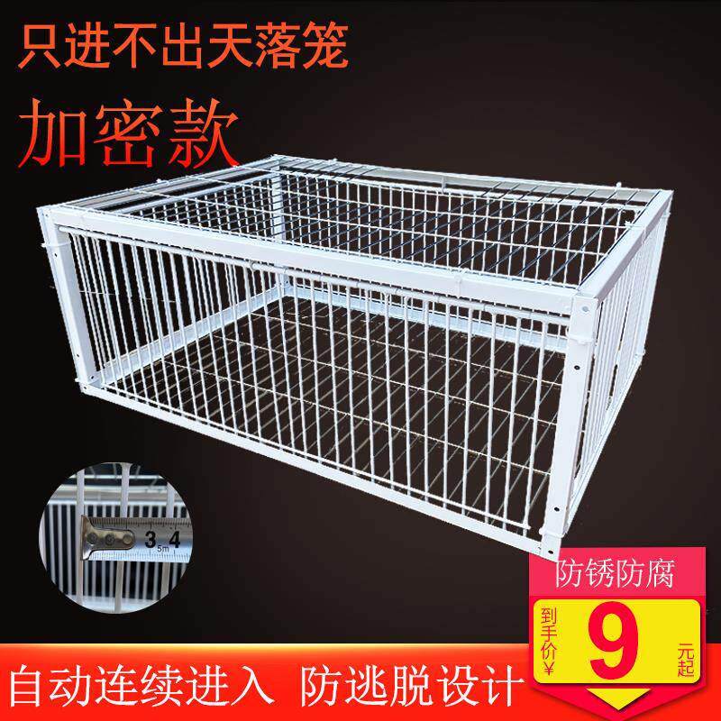 只进不出鸽子笼天落笼加密鸽子活络门收鸽撞门笼户外自动收鸽神器