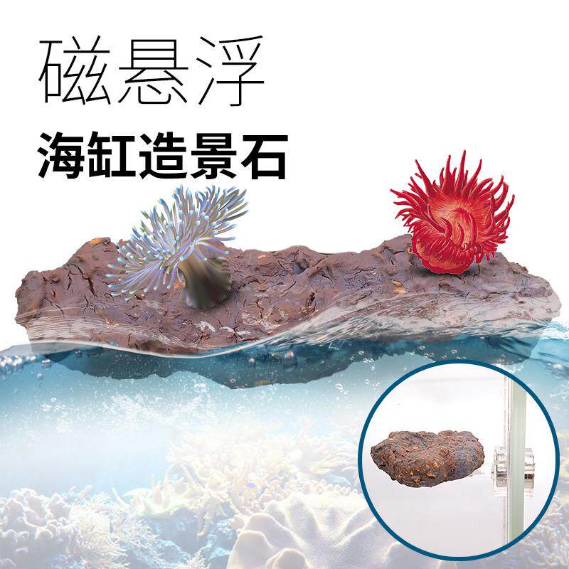 鱼缸悬浮磁吸造景石海水缸珊瑚断肢架托石有效净化水质培菌石消氨