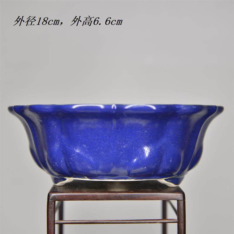 紫砂花盆+精品陶瓷工绿植盆栽小多肉客厅桌面简约+葵花口釉盆深蓝