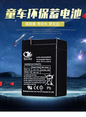 6V4ah蓄电池儿童电动小黄人太空狗瓢虫三轮车摩托车6伏电子秤电瓶