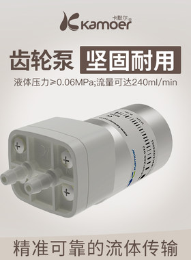 卡默尔微型齿轮泵12V直流小型高压电动水泵 工程塑料制