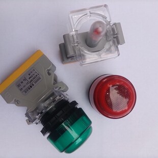 BD8060防爆防腐指示灯面板式(上装式)LED灯芯片AC220-380VDC24V