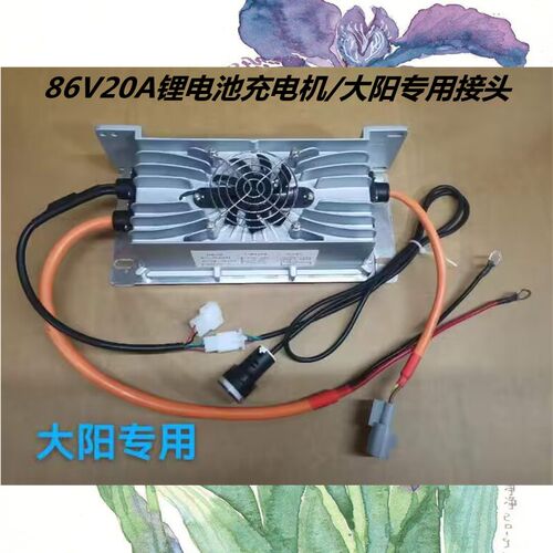 大阳专用86V20A车载式灌胶全密封智能新能源四轮锂电池汽车充电机